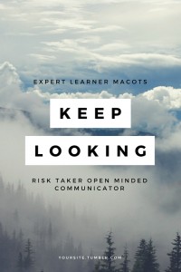 EXPERT LEARNER MACOTS